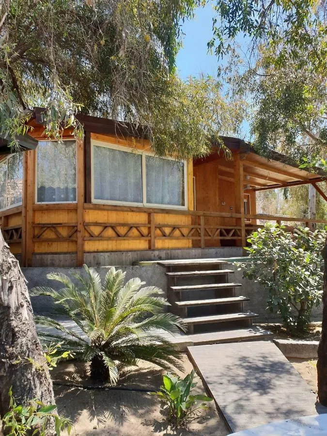Apartamento cucaracha CTA